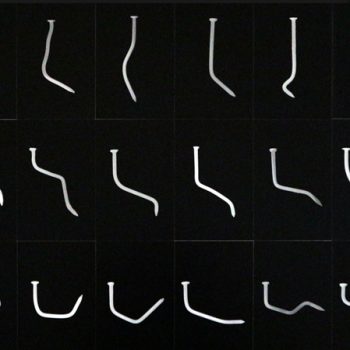 Paku-Paku-Paku---Edwin-Roseno