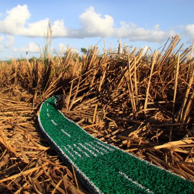 open-call-Green-Zone-Untitled1_Edwin-Roseno_2010