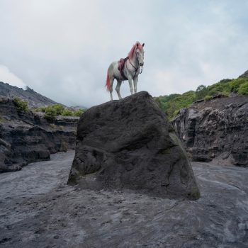 WhatsApp Image 2023-07-06 at 20.01.25