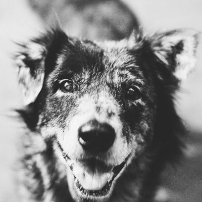 ruangmes56_416935141_18407436946018646_1339189528282368544_n (1)